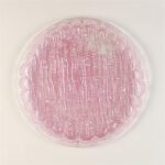 Wholesale Glass Charger Plate PZ-064